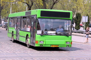 avtobus53