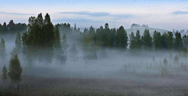 800px-izborsk_valley__landscapes9_fog