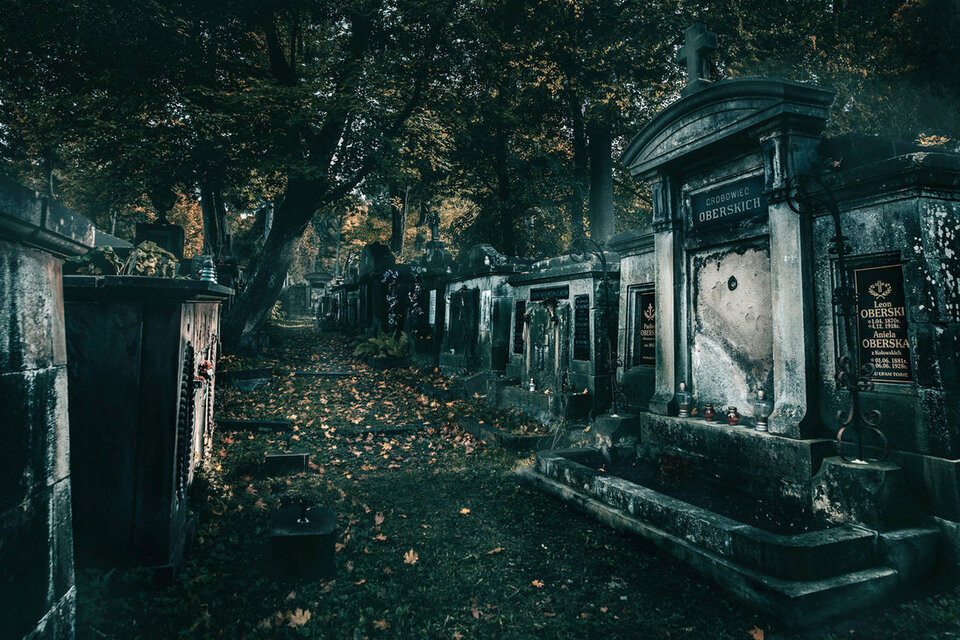 lychakiv_cemetery_by_pro100savant-d606yj1