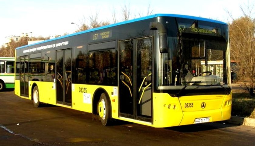 3-Avtobusyi
