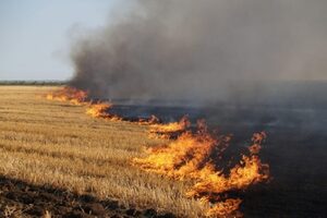 У поліції Львівщини нагадали вартість штрафів та неприпустимість спалювання сухої трави