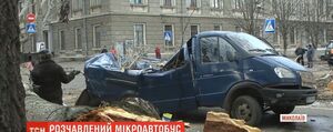 Тополя ледь не розчавила водія: на мікроавтобус у Миколаєві впало старезне дерево (відео)