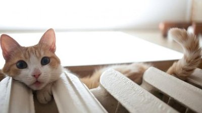 У Львові почали подавати тепло до медзакладів