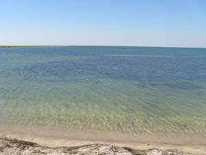 Через погіршення якості води відпочивальників просять утриматися від купання в одному з морських курортів