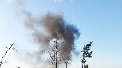 На Рівненщині під час випасу на мінах підірвалася худоба