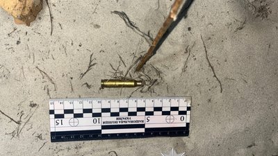 На Львівщині чоловік застрелив сусідського собаку, який забіг на його подвір’я