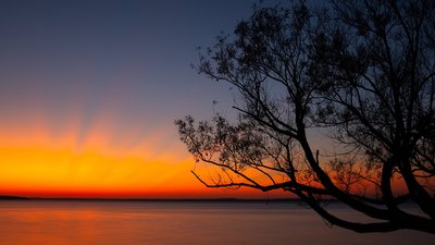 Якою буде погода у Львові та області завтра, 28 лютого
