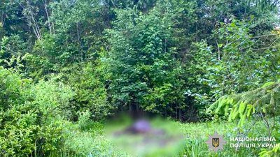 На Прикарпатті чоловік застрелив коня