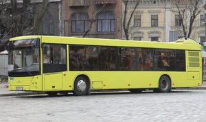 В управлінні транспорту відреагували на поведінку водія, який вигнав з львівської маршрутки пасажирку (ВІДЕО)