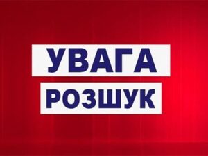 Правоохоронці розшукують водія, який збив жінку та втік з місця події