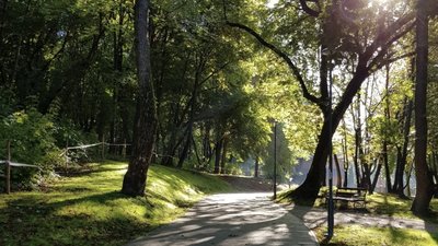 У львівському парку чоловік зґвалтував дитину