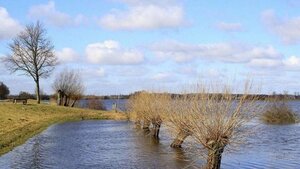 На заході України підвищується рівень води у річках