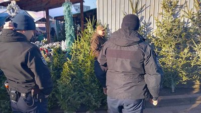 У Львові виявили перших порушників продажу ялинок