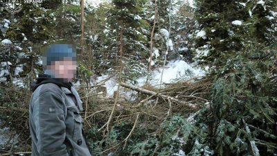 На Львівщині судитимуть чоловіка за незаконну рубку дерев у парку