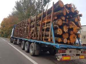 На Львівщині затримали вантажівку, яка ймовірно незаконно перевозила деревину (фото)