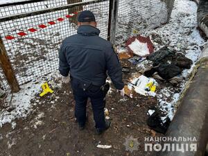 Двоє юнаків і жінка заради розваги жорстоко вбили двох безхатченків (ФОТО)