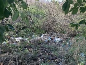 Фото: Державна екологічна інспекція у Львівській області