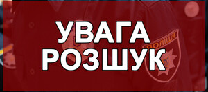 У Дрогобичі водій автомобіля збив 6-річного хлопчика, який раптово вибіг на дорогу