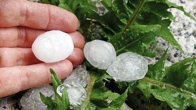 На Закарпатті місто Хуст засипав аномально великий град розміром з перепелине яйце (ФОТО, ВІДЕО)