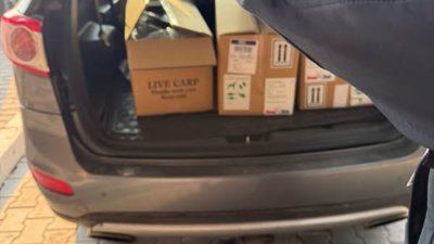 На кордоні з Польщею викрили контрабанду японських риб на мільйон гривень (ФОТО)
