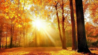 Якою буде погода у Львові та області завтра, 8 вересня