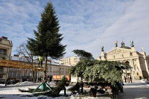 У Львові розібрали головну ялинку міста (ФОТО, ВІДЕО)