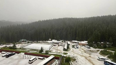 У Карпатах випав сніг