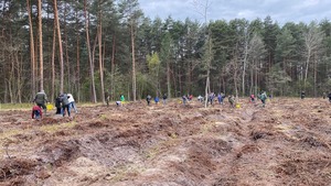 Львівська область взяла участь в масштабній благодійній акції висадки дерев (ФОТО)