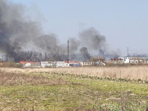 На Львівщині поліцейські оштрафували палія сухої трави