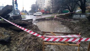 Викопали й забули: комунальники розвели небезпечне баговиння на одній з вулиць Львова (фото, відео)