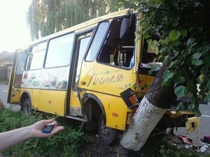 У Стрию автобус із пасажирами в'їхав у дерево, є постраждалі (фото)