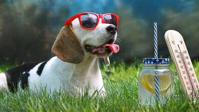 Українців попереджають про зміну погоди і аномально тепле літо 2025 року