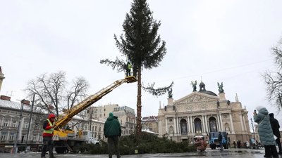 У Львові демонтували 18-метрову різдвяну ялинку, яка піде на опалювання теплиць