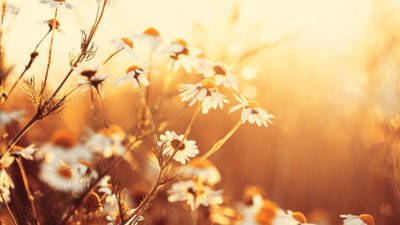 Якою буде погода у Львові та області завтра, 16 серпня