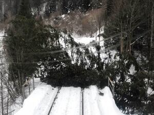 На Львівській залізниці, через шквальний вітер, пошкоджено залізничну інфраструктуру (фото)