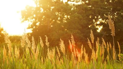 Якою буде погода на Львівщині завтра, 16 червня