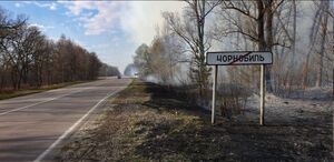 Пожежу в Чорнобилі загасили, однак потрібно ще декілька днів, щоб загасити тління — ДСНС