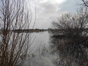 У Львівській області водолази четверту добу шукають тіло чоловіка