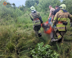 На Прикарпатті дерево придавило на смерть чоловіка (ФОТО)