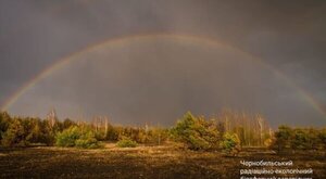 Райдуга над згарищем: Мережу вразило фото із зони відчуження (фото)