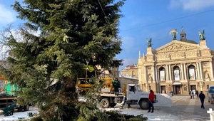 У Львові демонтували головну ялинку міста (ВІДЕО)