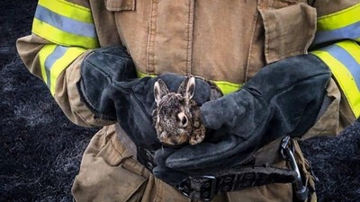 Львівщина у вогні: в районах люди масово палять сухостій