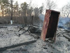 Причини й наслідки жахливої пожежі на Львівщині (фото)