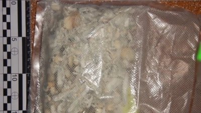 На Прикарпатті у хлопця виявили психотропні гриби у посилці