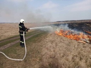 На Львівщині, під час гасіння пожежі сухої трави, вогнеборці врятували лісового мешканця (фото)