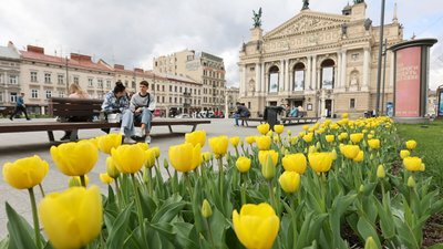 У Львові зацвітуть понад 165 тисяч тюльпанів та більше ніж 5 тисяч дерев і кущів