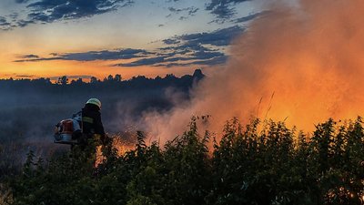 За добу рятувальники Львівщини ліквідували 21 пожежу в екосистемах
