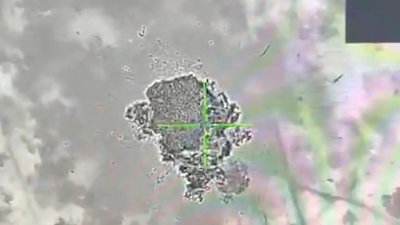 Прикордонники знищили техніку та живу силу росіян під Вовчанськом