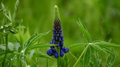 Яким буде день у Львові та області завтра, 13 червня