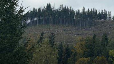 Поліцейські викрили розкрадання землі поблизу «Буковелю» вартістю 14 млн грн